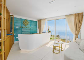 ĀNANTI Resort, Residences & Beach Club - The Leading Hotels of the World 3