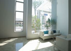 Hotel Les Palmiers 5