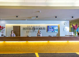 Hunguest Szeged - ex Forrás 3
