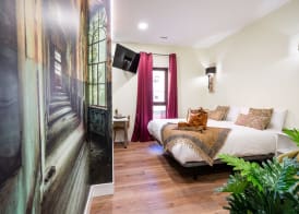 Center Suite Acebedos 3