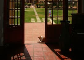 Rietfontein Ostrich Palace 5