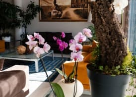 Hotel Ristorante I Castelli 2