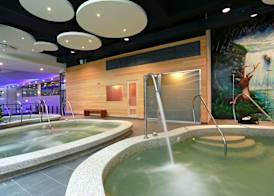 Golden Tulip - Aesthetics 4
