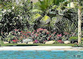 Hotel Liola' 3