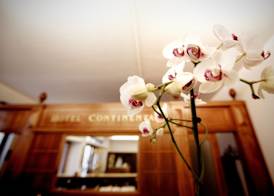 Hotel Continental 2