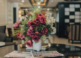 Mia Berre Hotels 5