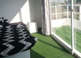 Cat's Hostel 4
