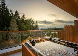Swissôtel Poiana Brasov 2