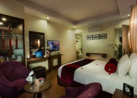 Golden Art Hotel 3
