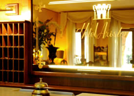 Park Hotel Villa Ariston 3