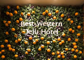 Best Western Jeju Hotel 2