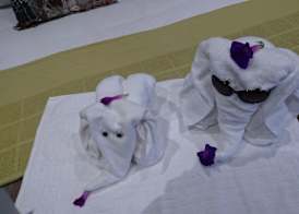 Two Fat Owls Guesthouse 2