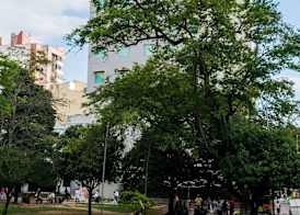 Hampton By Hilton Bucaramanga 2