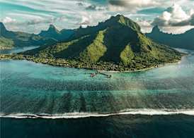 Hilton Moorea Lagoon Resort and Spa 3