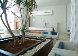 Hotel Les Palmiers 3