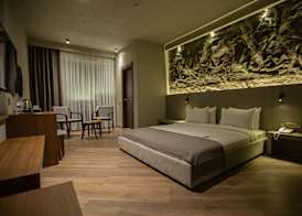 The Erzurum Hotel 5