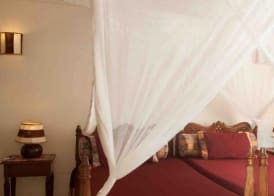 Crystal Bay Resort 5