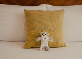 PREMIER SUITES Dublin, Leeson Street 5