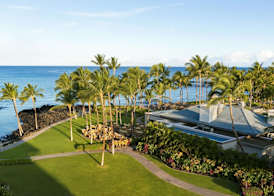 Fairmont Orchid 3