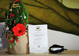 Lasenta Boutique Hotel Hoian 3