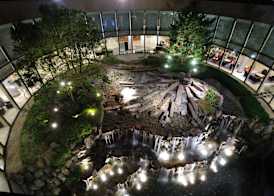 Hilton Tokyo Narita Airport 4