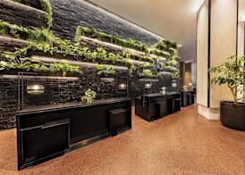 JW Marriott Auckland 3