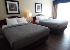 Quality Inn 5