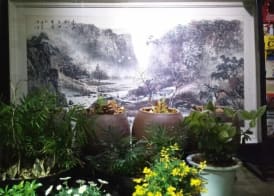 OPPA Hostel Sinchon-Hongdae 3