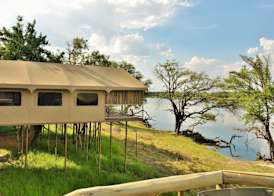 Jackalberry Chobe 4