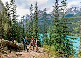Fairmont Château Lake Louise 4