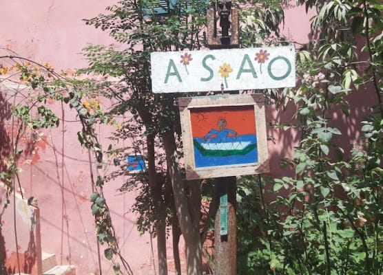 ASAO 1