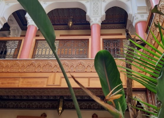 Riad Miral 1