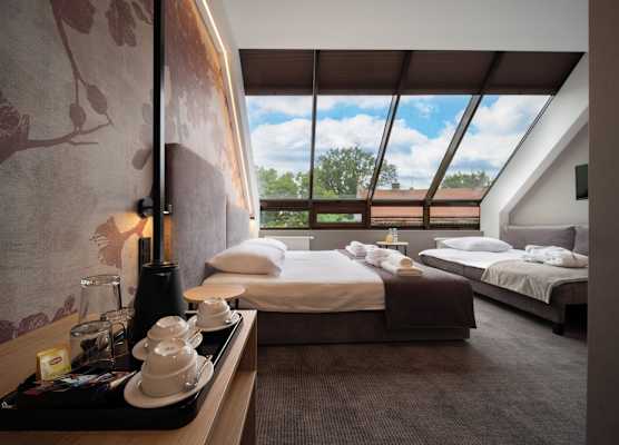 Hotel Alexander 1