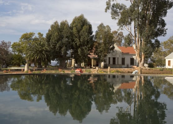 Rietfontein Ostrich Palace 1