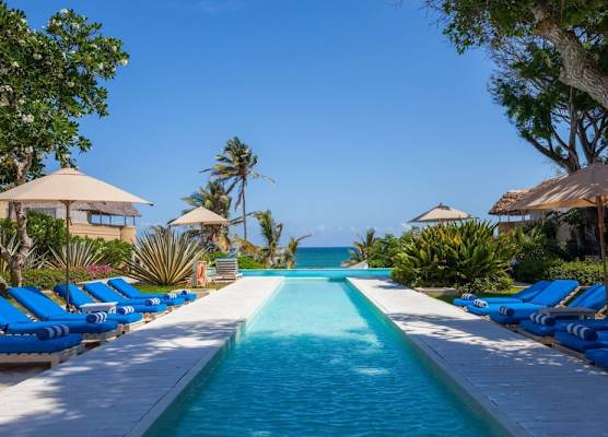 Medina Palms 1