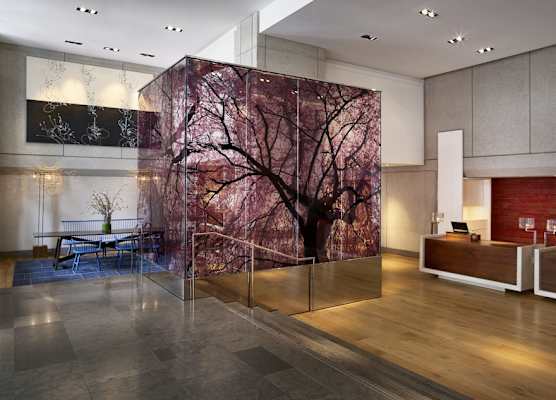 Park Hyatt Washington 1