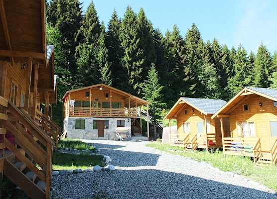 Mountain Cabins 1