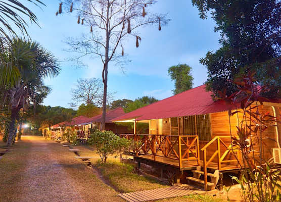 Manish Hotel Ecólogico 1