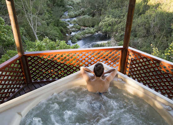 The Fernery Lodge & Spa 1