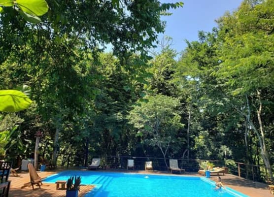 Selva de Laurel 1