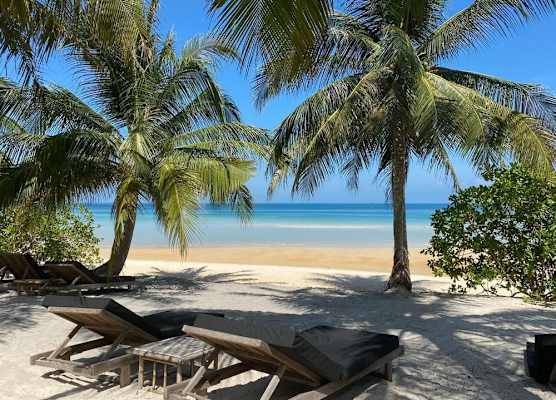 Tamu Koh Rong 1