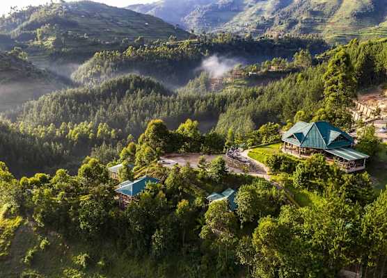 Rushaga Gorilla Lodge 1