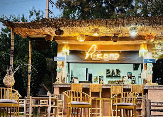 The BIRD 1