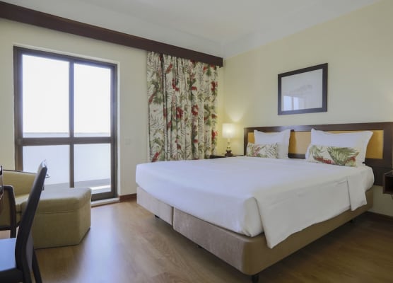 Hotel D. Luis 1