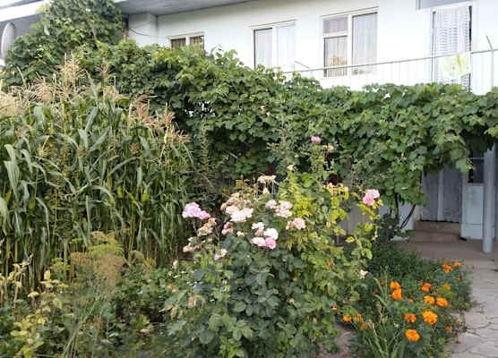Aspet B&B 1
