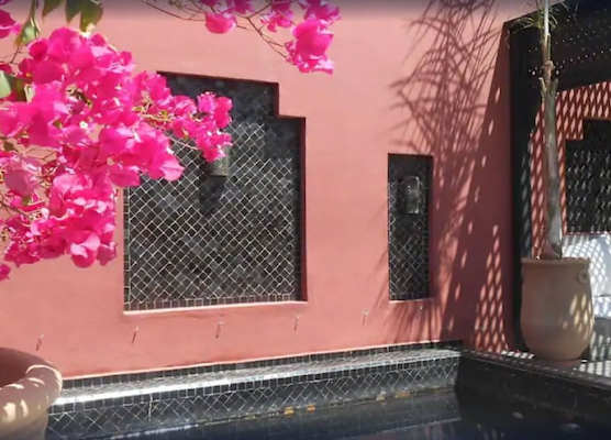 Riad Alegria 1