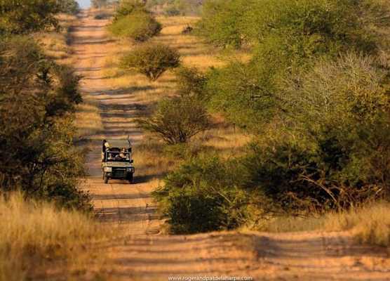 Rhino Walking Safaris 1