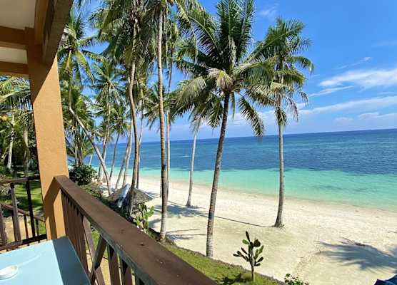 Anda White Beach Resort 1