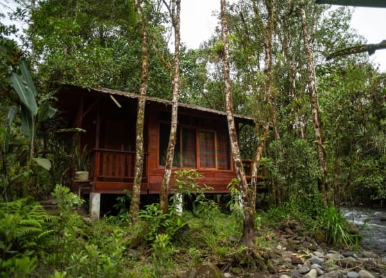 River Song's Hotel 1