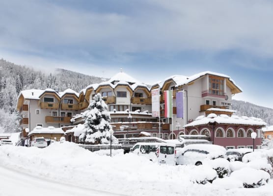 Tevini Dolomites Charming Hotel 1